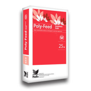 Haifa Poly-Feed Ballade 12-12-36(+1)+ME